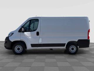 FIAT Ducato usata 1
