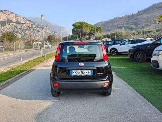 FIAT Panda usata, con Antifurto