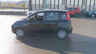 FIAT Panda usata, con Bluetooth