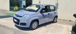 FIAT Panda usata, con Airbag Passeggero