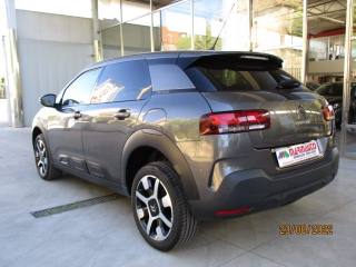 CITROEN C4 Cactus usata, con Cerchi in lega