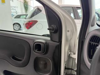 FIAT Panda usata 14