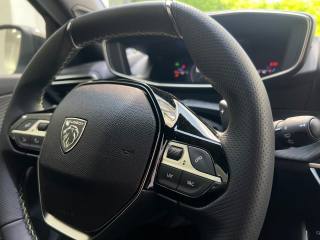 PEUGEOT 2008 usata, con Vetri oscurati