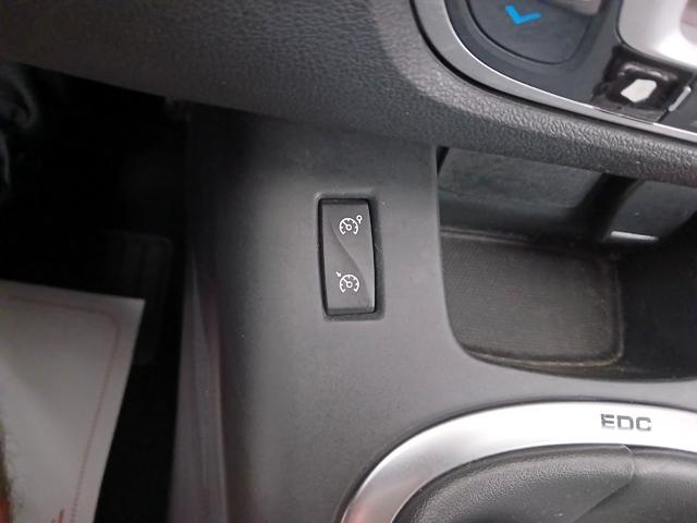 RENAULT Scenic usata, con Fendinebbia