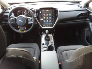 SUBARU Crosstrek usata, con Fendinebbia