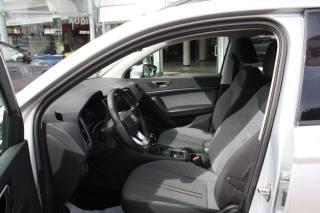SEAT Ateca usata, con Fendinebbia