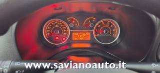 FIAT Doblo usata, con Servosterzo