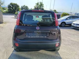 FIAT Panda usata 5