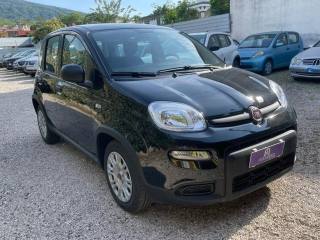 FIAT Panda usata 13