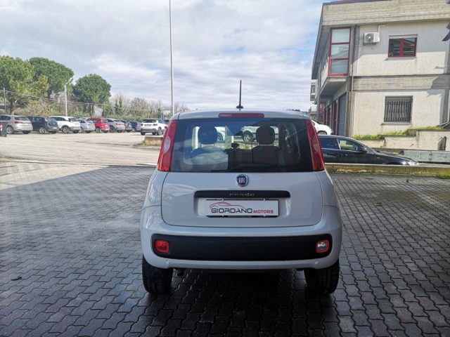 FIAT Panda usata, con Alzacristalli elettrici