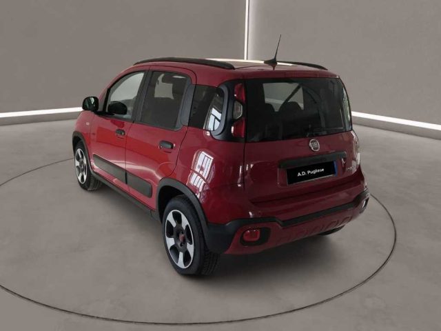 FIAT Panda Cross usata, con Controllo trazione