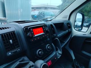 OPEL Movano usata, con Telecamera per parcheggio assistito