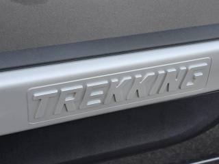 FIAT Fiorino usata, con Bracciolo