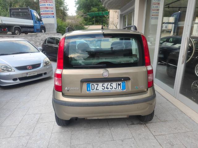 FIAT Panda usata, con Servosterzo
