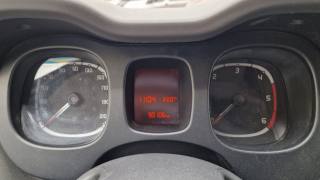 FIAT Panda usata 14