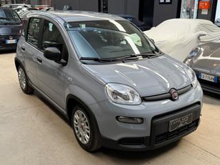 FIAT Panda usata, con Airbag Passeggero