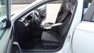 SKODA Superb usata, con Fendinebbia