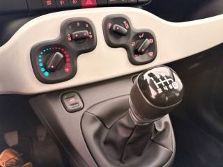 FIAT Panda Cross usata 20