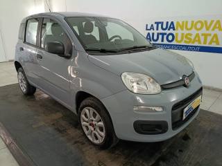 FIAT Panda usata, con Alzacristalli elettrici