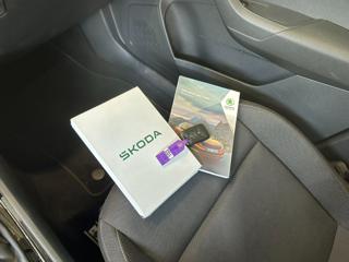 SKODA Karoq usata, con Specchietti laterali elettrici