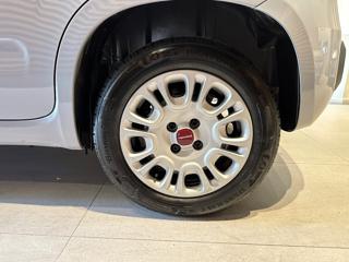 FIAT Panda usata, con Airbag Passeggero