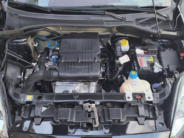FIAT Punto usata 17
