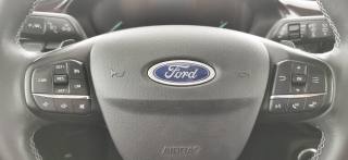 FORD Fiesta usata, con Controllo vocale