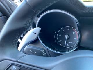 ALFA ROMEO Stelvio usata, con Sedile posteriore sdoppiato