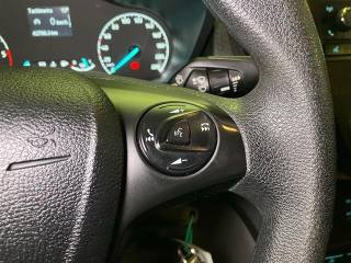 FORD Transit Connect usata 17