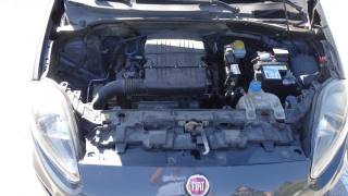 FIAT Punto usata, con Immobilizzatore elettronico