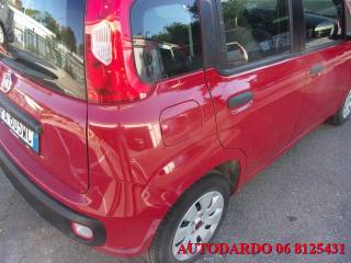 FIAT Panda usata 13