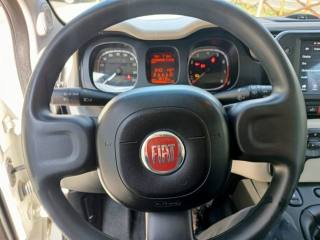 FIAT Panda usata, con Airbag testa