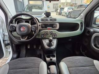 FIAT Panda usata, con Servosterzo