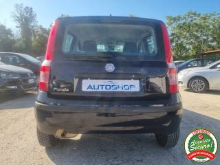 FIAT Panda usata, con Servosterzo