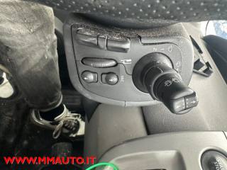 RENAULT Scenic usata, con Volante in pelle