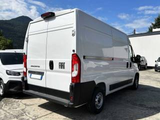 FIAT Ducato usata, con Airbag Passeggero