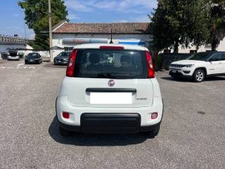 FIAT Panda usata, con Antifurto
