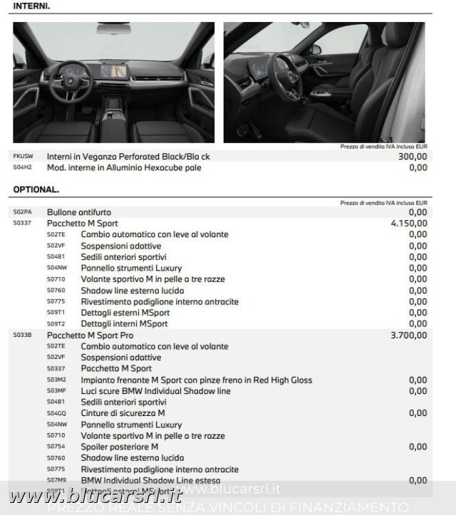 BMW X1 usata 38
