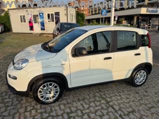FIAT Panda usata, con Airbag