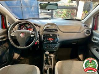 FIAT Punto usata, con Cronologia tagliandi