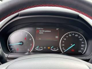 FORD EcoSport usata 14