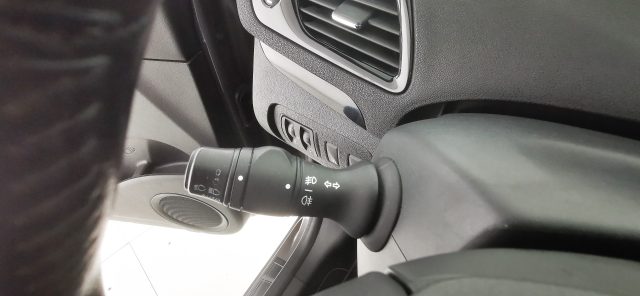 RENAULT Scenic usata 42