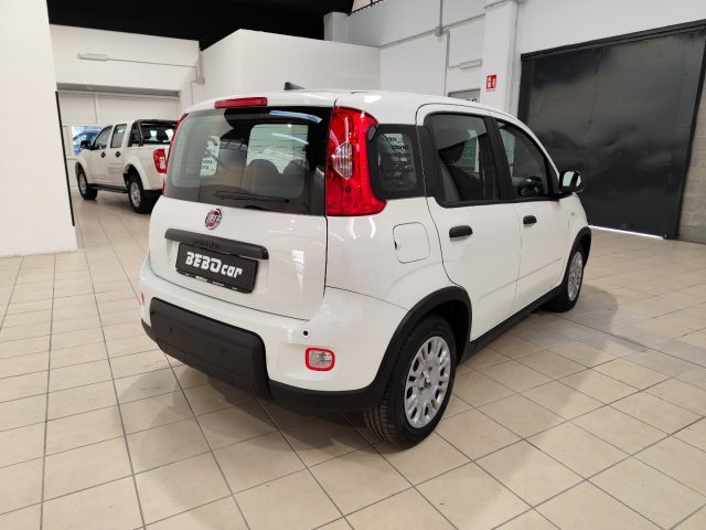 FIAT Panda usata, con Climatizzatore