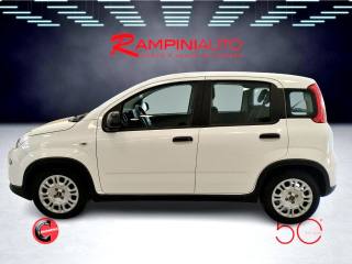 FIAT Panda usata 10