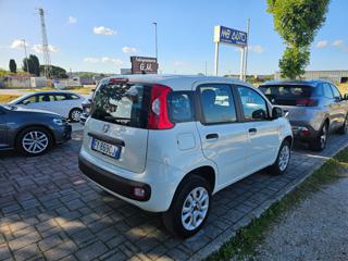 FIAT Panda usata, con Autoradio