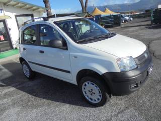 FIAT Panda usata 15