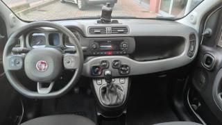 FIAT New Panda usata, con ESP