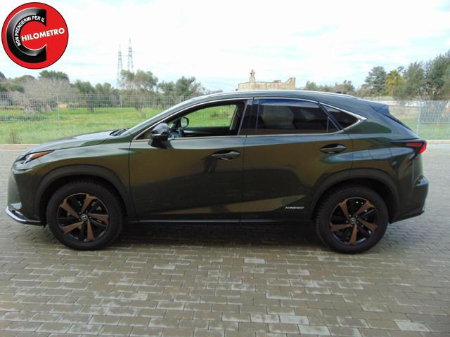 LEXUS NX 300 usata, con Autoradio