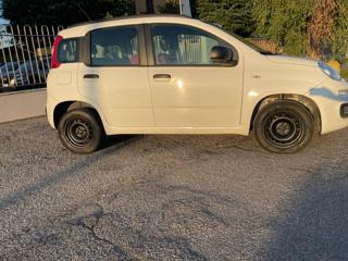 FIAT Panda usata, con Chiusura centralizzata