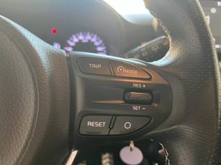 KIA Picanto usata, con Fendinebbia